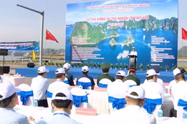 越中两国向北部湾海域放流800万多尾鱼虾苗