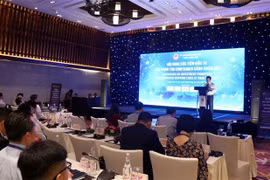 承天顺化省举行真云港集装箱航运公司投资促进会