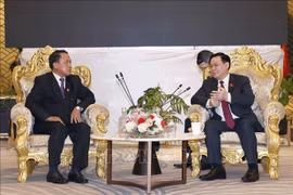 越南国会主席王廷惠会见了老挝财政部部长本炯
