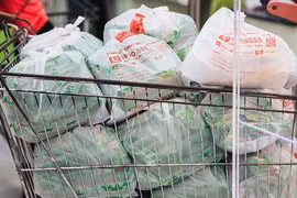 专注于减少塑料垃圾使用量的零售商联盟在河内亮相