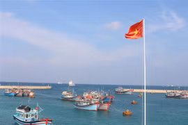 越南常驻日内瓦代表团为长沙同胞捐款