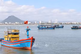 采取长远措施 解除IUU“黄牌”警告 