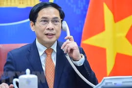 越南真诚希望乌克兰冲突有关各方保持克制 缓和紧张局势