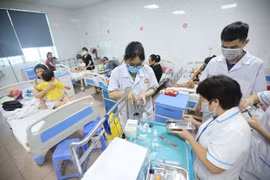 河内市登革热病例增加14.1%