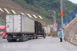 谅山省加强口岸卫生检疫工作 严防输入疫情