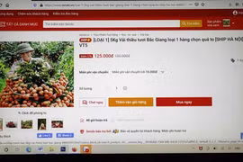 越南大力支持农产品上线电商平台