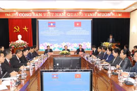 越老两国开展群众工作经验交流