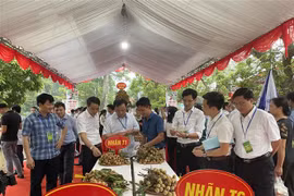 越南兴安拓宽龙眼和农产品的销售渠道