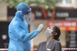 23日越南新增新冠肺炎确诊病例8813例 