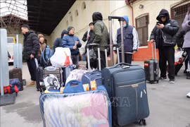 全力保护公民 协助旅乌越南人前往德国