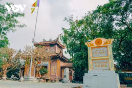 走访越南海阳市东午古庙的春景
