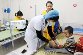 兴安省不断提高社保参保率