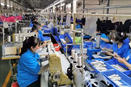 比利时报刊：越南正成为地区经济的“灯塔”