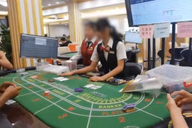 柬埔寨重拳打击赌博违法犯罪 