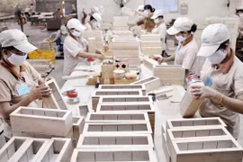  英国UKCA标志使用指南研讨会举行 向越南出口企业提供UKCA标志有关信息