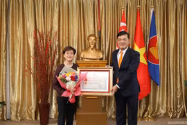 越南向新加坡驻越南前大使授予友谊勋章