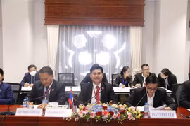 越老建交60周年：加强越南和老挝国会年轻代表的交流与合作 