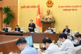 越南国会常务委员会第17次会议将于11月28日举行