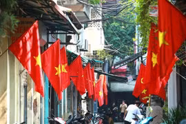 俄媒：越南是东盟的旗帜