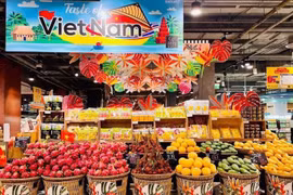 经济外交：海外越南人企业与企业外交在越泰贸易中的作用