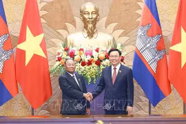 为越柬关系注入新动力