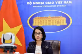 越南强调各国合作为维护海上和平与稳定作出积极贡献