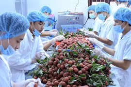 《越南对中国农产品正贸出口指南》正式出版发行
