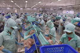 越南再添6家查鱼加工企业获准向美国出口查鱼产品