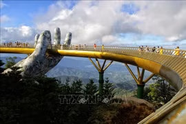 越南国内旅游强劲复苏