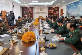 越南国防部副部长与柬埔寨王家军总司令举行会谈
