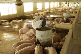 2022年越南肉类及肉制品进口需求难以大幅增加