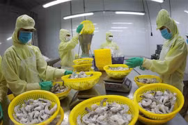 美国继续对来自越南的暖水虾征收反倾销税