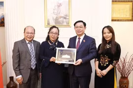 英国全党议会关注越南议员小组主席温尼‧大卫：英国与越南议会合作积极发展