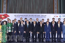 越南国家主席阮春福会见越泰两国典范企业代表