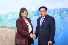 越南政府总理范明政会见埃及驻越南大使和蒙古国驻越南大使