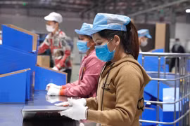 越南超过5000万名劳动者将拥有电子劳动手册