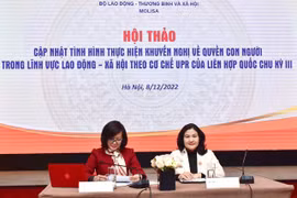 越南在促进劳务、社会和性别平等领域的人权保障问题取得了令人瞩目的成就