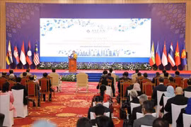 东盟峰会：柬埔寨的成功和越南的积极贡献