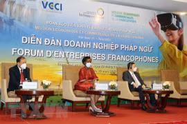 越南与法语国家企业合作商机巨大