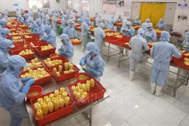 越南商品以灵活的方式征服亚欧市场