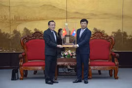 越南岘港市与老挝沙拉湾省省促进合作