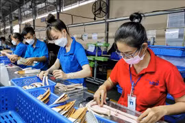 芹苴市GRDP首次实现两位数增长