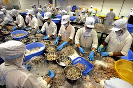 越南企业赴南非市场寻找投资商机