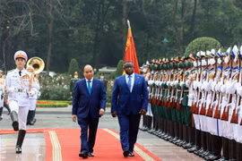 越南国家主席阮春福与塞拉利昂总统朱利叶斯·马达·比奥举行会谈