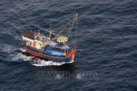解除IUU“黄牌”：越南各地齐心协力