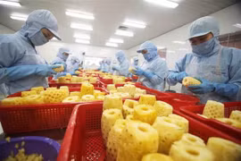 越南和白俄罗斯为两国企业的发展和寻找新机遇创造便利条件