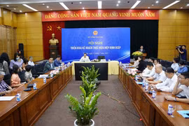 越南企业尽最大努力 利用 RCEP 带来的机会