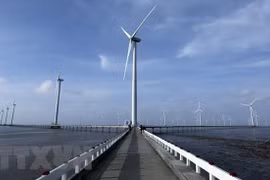 美国企业在越南寻找发展清洁能源的投资机会