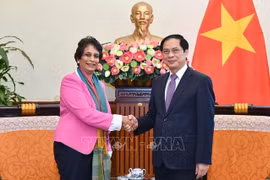 越南外长裴青山会见联合国开发计划署亚太区域局主任坎尼