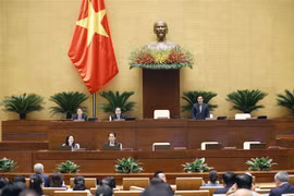 越南第十五届国会第四次会议：今日聚焦《土地法修正案 （草案）》